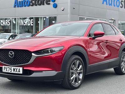 New Mazda CX-30 Takumi-Line 186 HP (136 kW) 2025 SUV