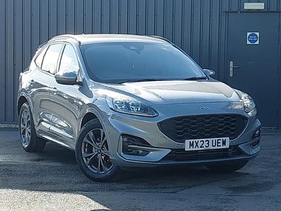 Used Ford Kuga ST-Line 150 HP (110 kW) 2023 Silver SUV
