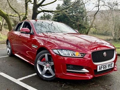 Used Jaguar XE R-Sport 240 HP (176 kW) 2016 Red Sedan