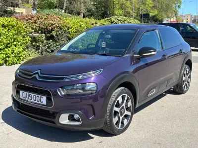 Używany Citroën C4 Cactus Flair 110 KM (80 kW) 2019 Purpurowy Hatchback