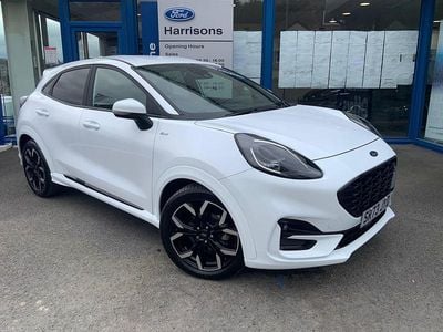 Used Ford Puma ST-Line X 125 HP (91 kW) 2023 Frozen white SUV