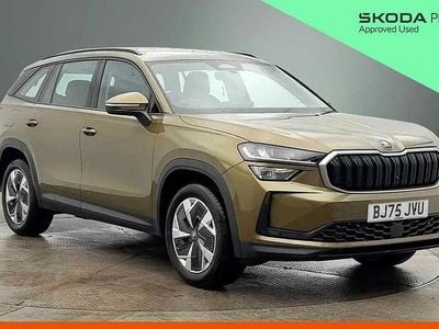 Used Skoda Kodiaq SE 147 HP (108 kW) 2025 Bronx gold metallic SUV