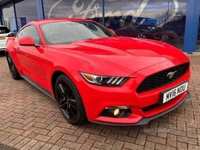 used Ford Mustang (2016/16)2.3 EcoBoost 2d