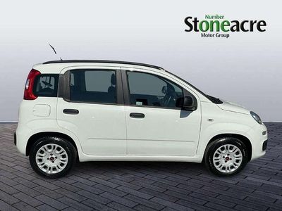 Used Fiat Panda Easy 69 HP (50 kW) 2019 White Hatchback