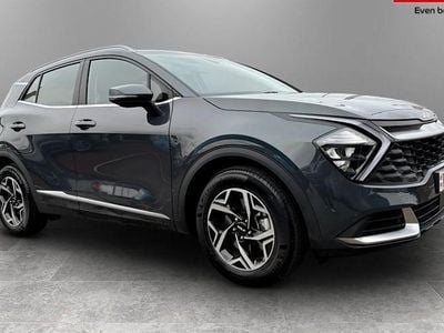 Used Kia Sportage 159 HP (116 kW) 2024 SUV