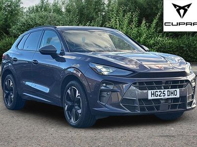 Used Cupra Terramar 204 HP (150 kW) 2025 Purple SUV