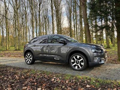 Used Citroën C4 Cactus Flair 130 HP (95 kW) 2019 Grey Hatchback