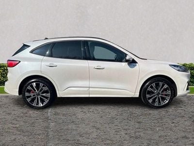 Used Ford Kuga ST-Line 2023 White SUV