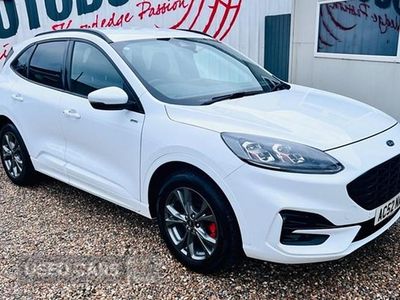 Used Ford Kuga ST-Line 225 HP (165 kW) 2021 White SUV
