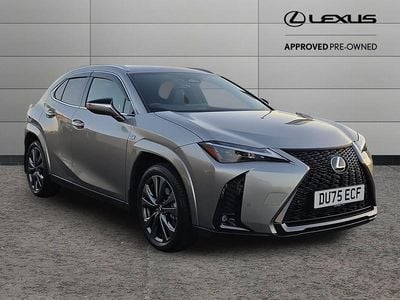 Used Lexus UX Sport Line 199 HP (146 kW) 2025 Silver SUV