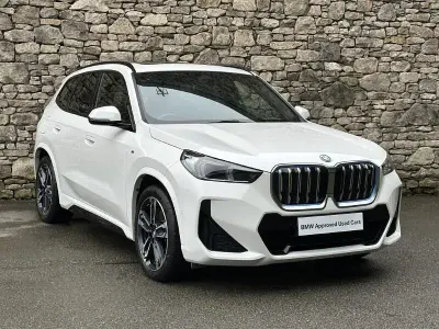 Usado BMW iX1