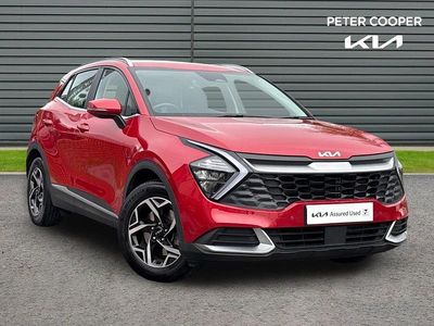 Used Kia Sportage 157 HP (115 kW) 2024 Red SUV