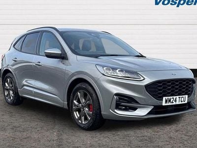 Used Ford Kuga ST-Line 2024 Silver SUV