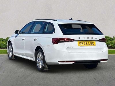 Used Skoda Octavia 2025 Estate