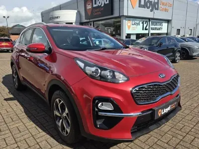 Used Kia Sportage 136 HP (100 kW) 2019 Red SUV