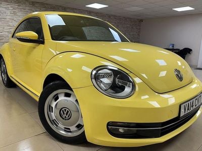VW Beetle