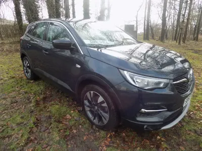 Used Vauxhall Grandland X Sport 130 HP (95 kW) 2019 Grey SUV