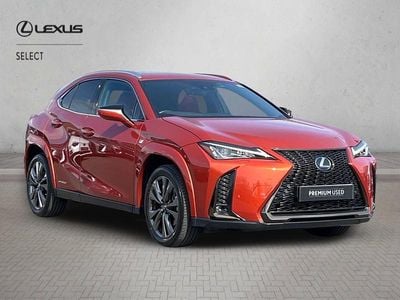 Used Lexus UX 250h Sport Line 2022 Orange SUV