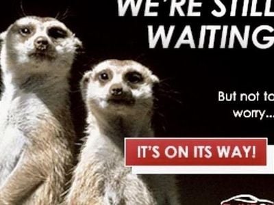 Used 2024 MG ZS Exclusive SUV | £12,000 (Good price)