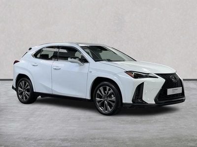 Used Lexus UX 250h Sport Line 2024 White SUV