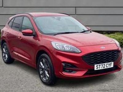 Used Ford Kuga ST-Line 190 HP (139 kW) 2022 Red SUV