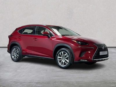 Used Lexus NX300h 2020 Red SUV