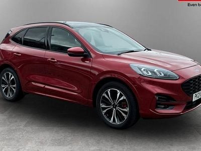 Used Ford Kuga ST-Line X 224 HP (164 kW) 2023 SUV