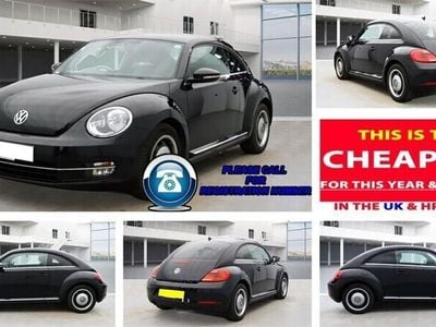 VW Beetle