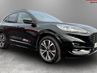 Used Ford Kuga ST-Line X 190 HP (139 kW) 2021 SUV