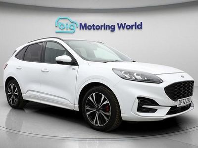 Used Ford Kuga ST-Line X 190 HP (139 kW) 2023 White SUV