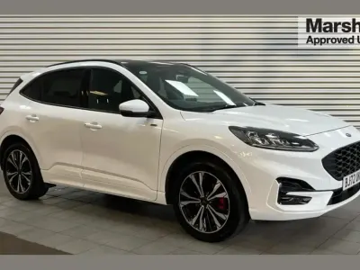 Used Ford Kuga ST-Line X 225 HP (165 kW) 2022 White SUV