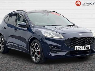 Used Ford Kuga ST-Line X 190 HP (139 kW) 2023 Blue SUV
