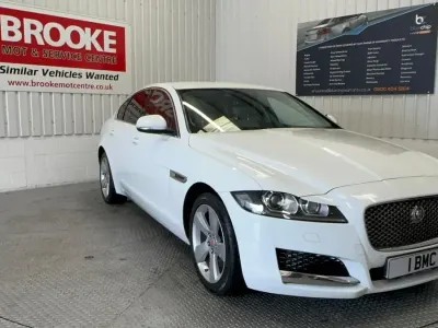 Used Jaguar XF Portfolio 240 HP (176 kW) 2017 White Sedan