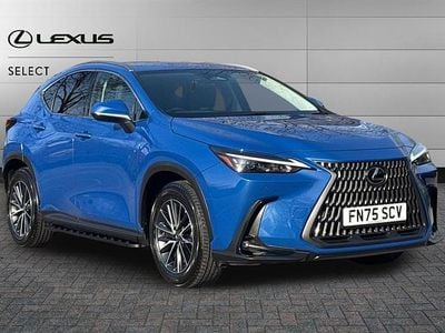Used Lexus NX450h+ 309 HP (227 kW) 2025 Celestial blue SUV