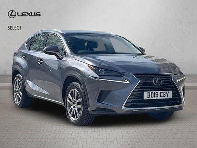 Used Lexus NX300h 2019 Grey SUV