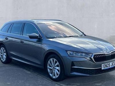 Used Skoda Octavia SE L 150 HP (110 kW) 2025 Grey Estate