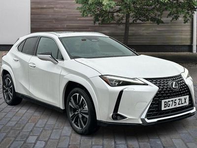 Used Lexus UX 300h 2025 SUV