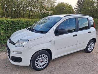Usado Fiat Panda Easy 69 HP (50 kW) 2013 Branco Citadino