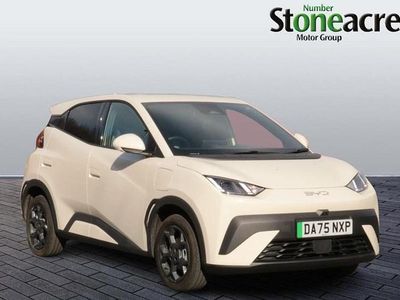 Used BYD Dolphin Surf Comfort 114 kW (156 HP) 2025 White Hatchback