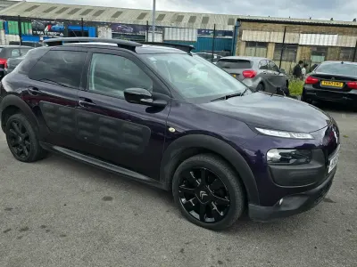 Used Citroën C4 Cactus Flair 100 HP (73 kW) 2016 Purple Hatchback