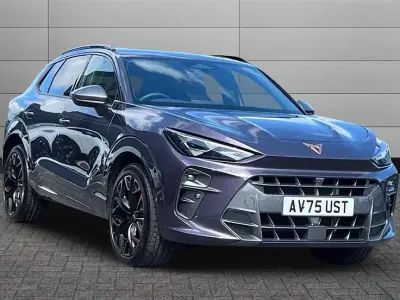 Usado Cupra Terramar