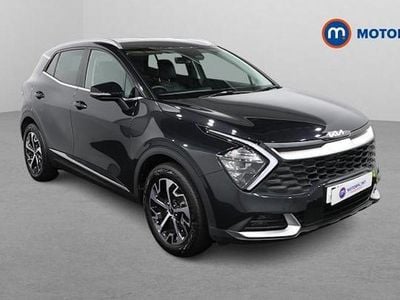 Used Kia Sportage 209 HP (153 kW) 2024 Black SUV