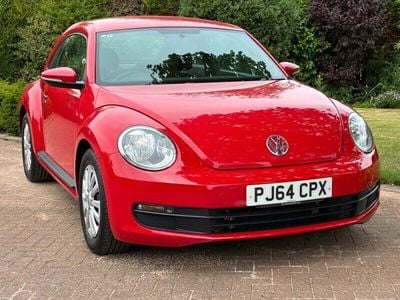 VW Beetle