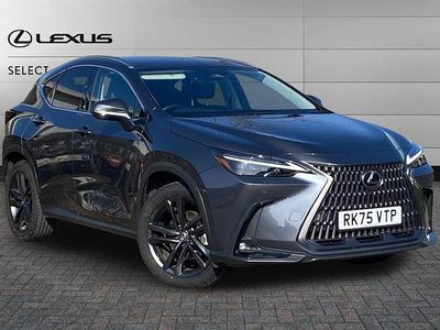 Used Lexus NX350h 243 HP (178 kW) 2025 Grey SUV