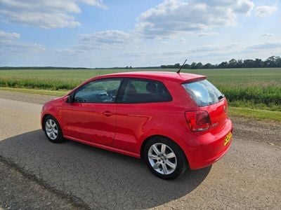 VW Polo
