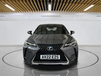 Used Lexus UX 250h