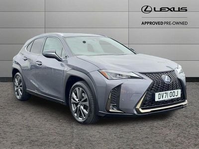 Used Lexus UX Sport Line 184 HP (135 kW) 2022 Grey SUV
