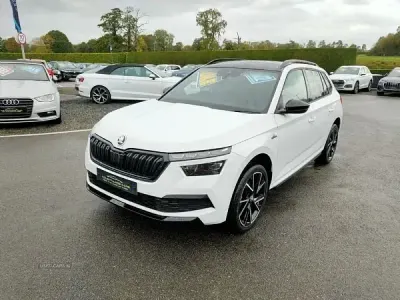 Used Skoda 110 R