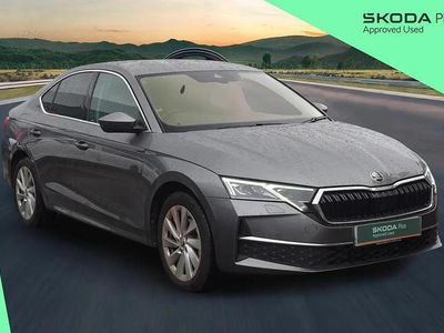 Graphite grey metallic Used 2024 Skoda Octavia First Edition Hatchback | £23,801 (Expensive)