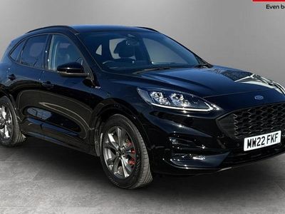 Used Ford Kuga ST-Line 120 HP (88 kW) 2021 SUV